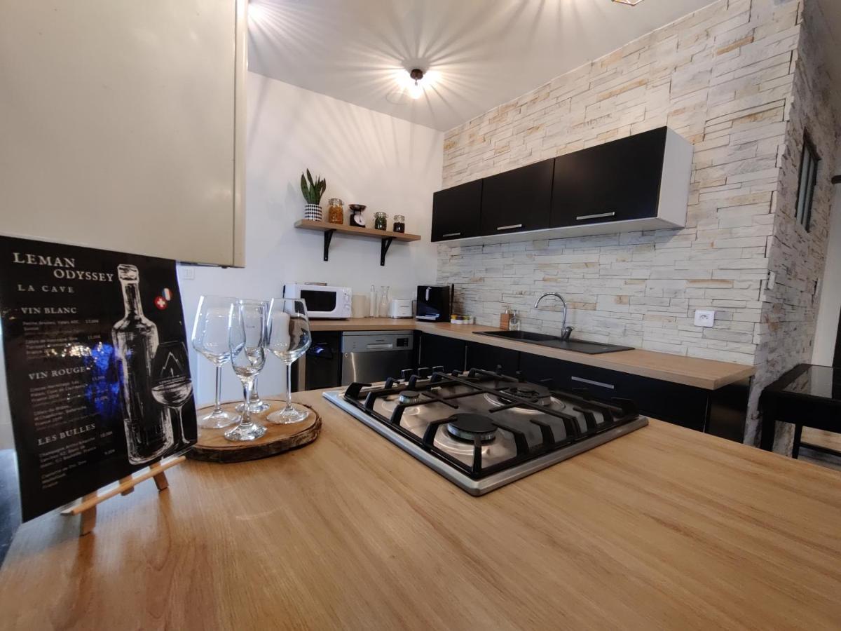 Appartement Hyper Centre Evian - Leman Odyssey Eksteriør billede